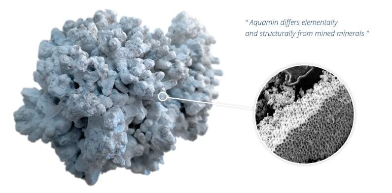 Aquamin-providing bioactive calcium, magnesium and 72 other trace marine minerals