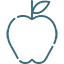 apple icon