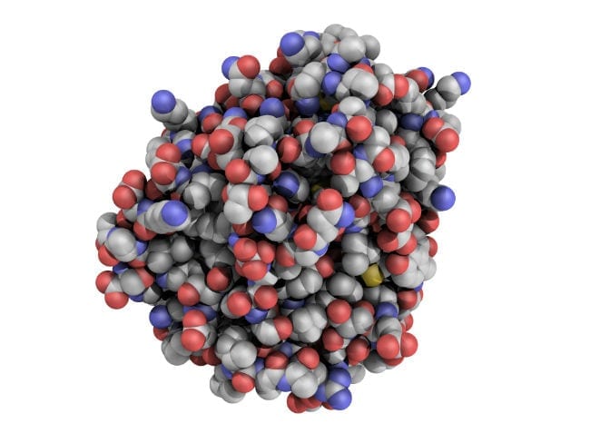 enzyme structure