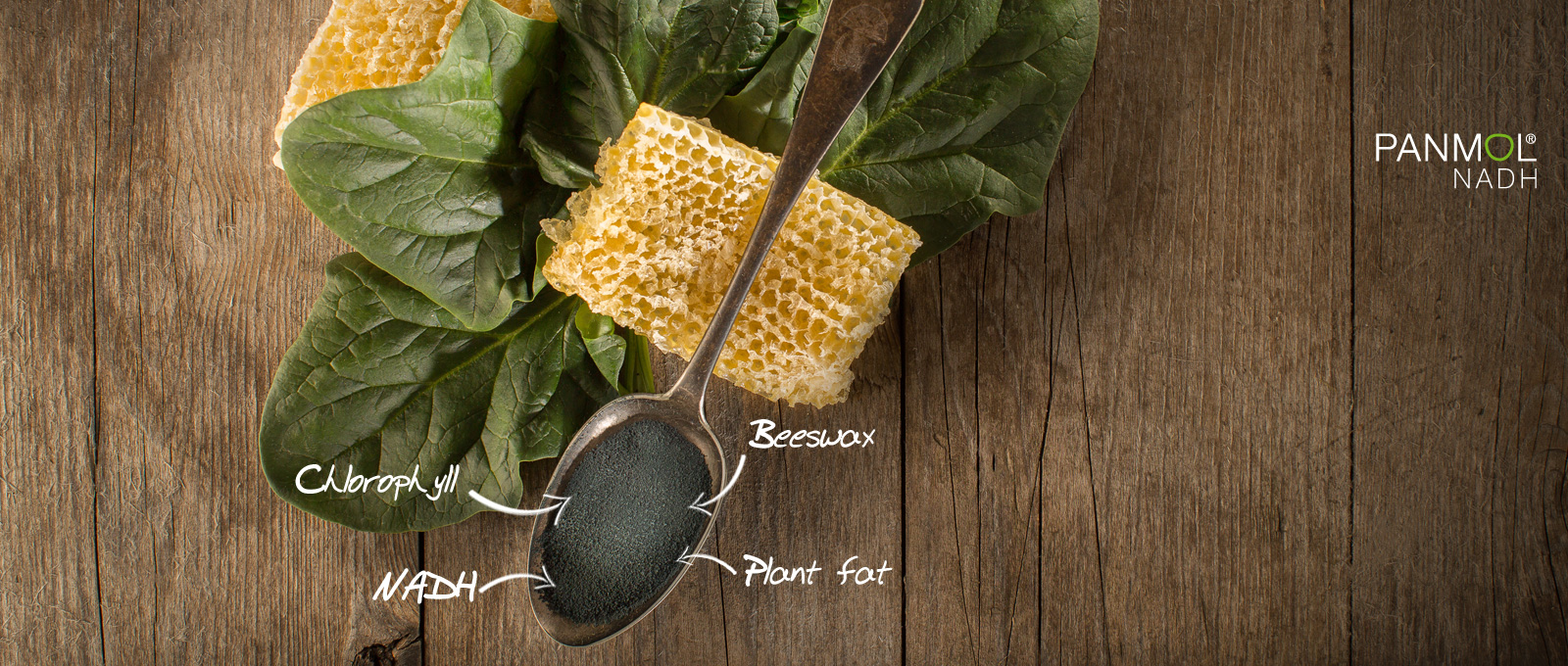 Panmol image with spinach, beeswax and spoon
