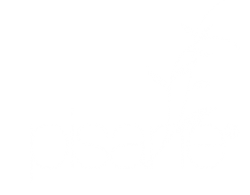 pisane-sanslogan-white2 pisane-sanslogan-white2