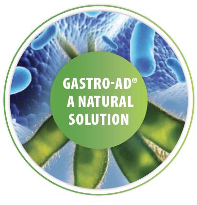gastro aid reflux remedy gastro aid reflux remedy