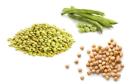 Atura Plant Proteins lentils favas chickpeas