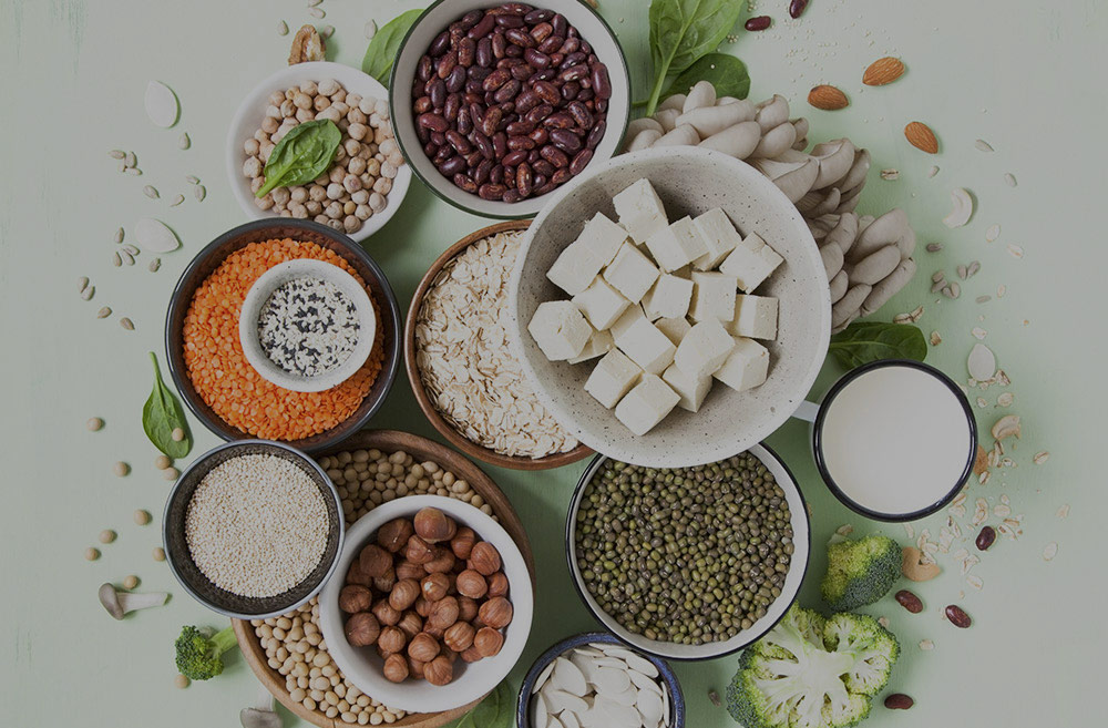 plant-proteins