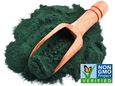 Chlorella