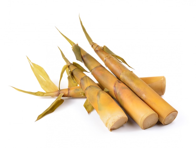 bamboo shoots