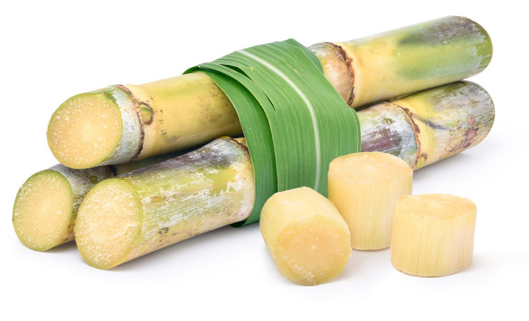 bundle of sugarcane and 3 sugar cubes