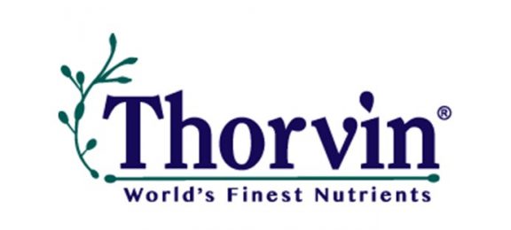 Thorvin Logo