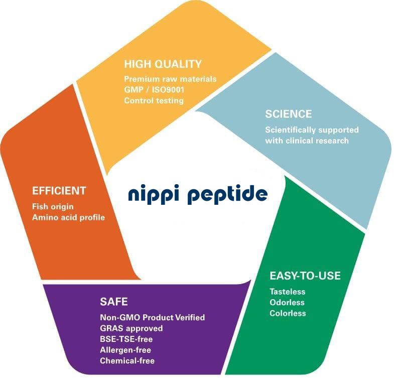 nippi peptide graphic