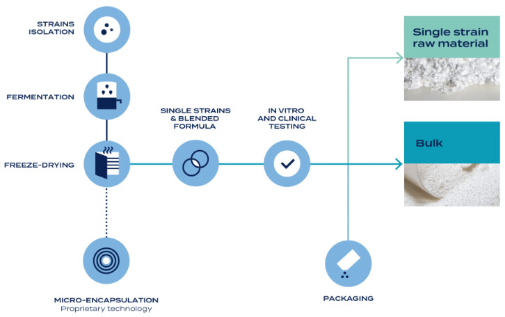 manufacturing process